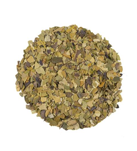 BUDNI SNOVI